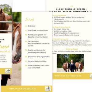 Kommunikation im Sattel - Wie du dein Pferd wirklich verstehst