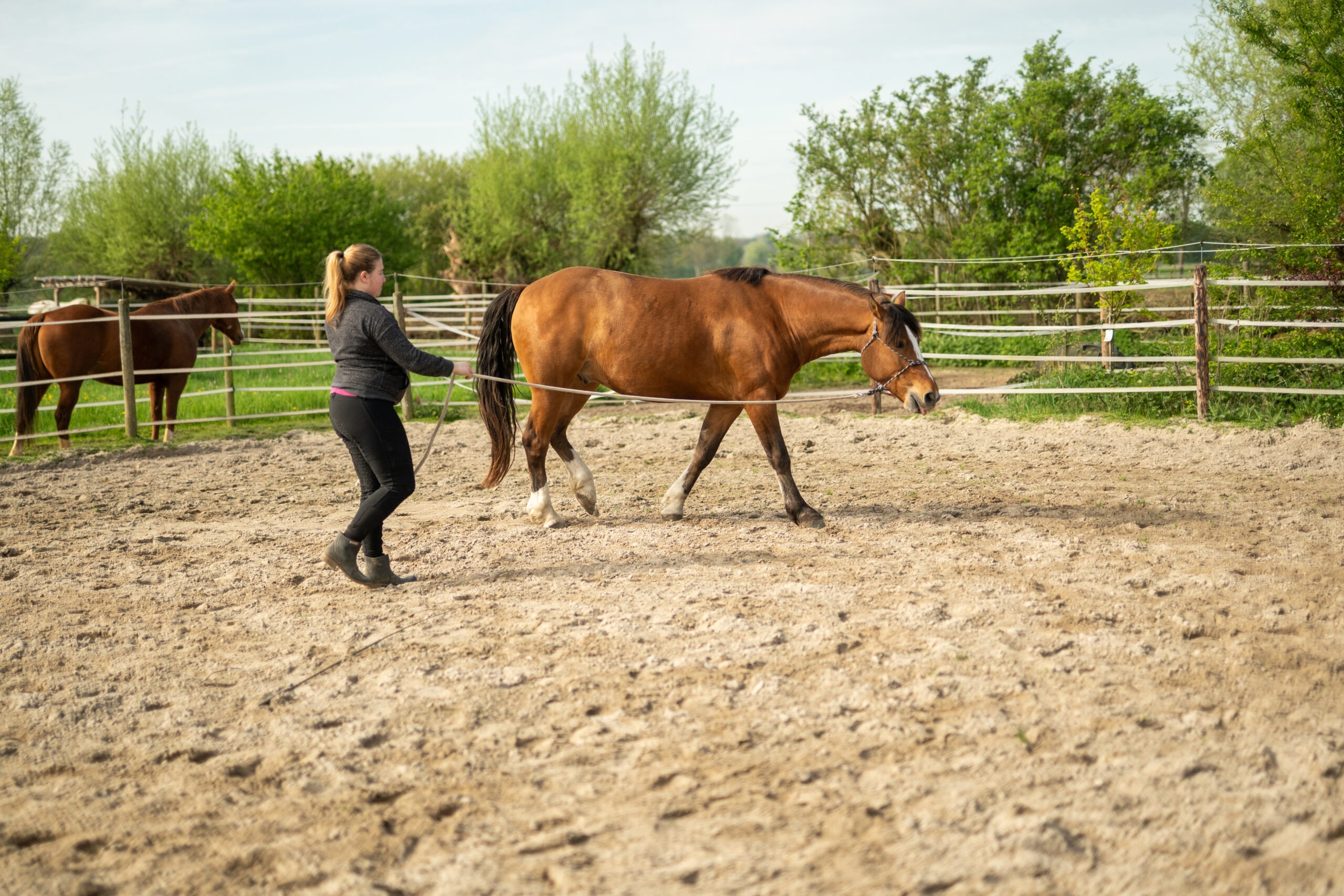 Training Nobbenhof