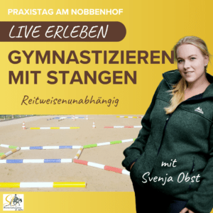 Gymnastizieren mit Stangen – Mehr Balance, Kraft & Losgelassenheit für dein Pferd