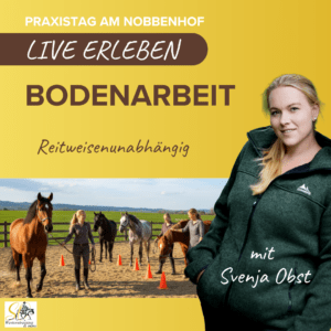 Bodenarbeitskurs