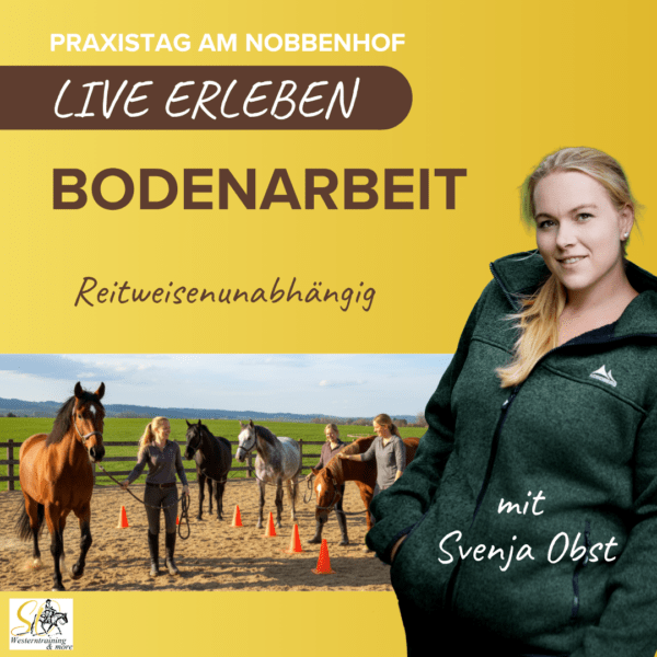 Bodenarbeitskurs