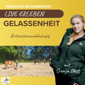 Gelassenheitstraining mit Pferd – Mehr Ruhe, Vertrauen & Partnerschaft im Alltag