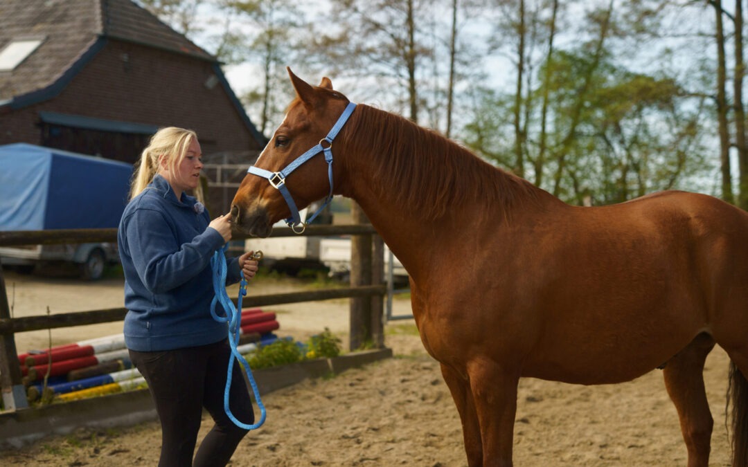 Reitangst nach einem Sturz – Wie Du wieder Vertrauen und Sicherheit im Sattel findest | Nobbenhof Sonsbeck & Online