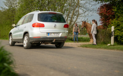 Mentale und emotionale Stärke im Leben und im Reitsport 33 Mein Pferd hat Angst vor Autos, Fahrrädern oder Kühen – was kann ich tun? | Nobbenhof Sonsbeck