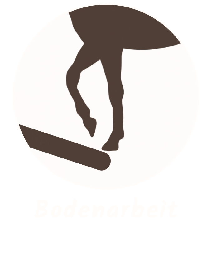 Pferde Ausbildung 2