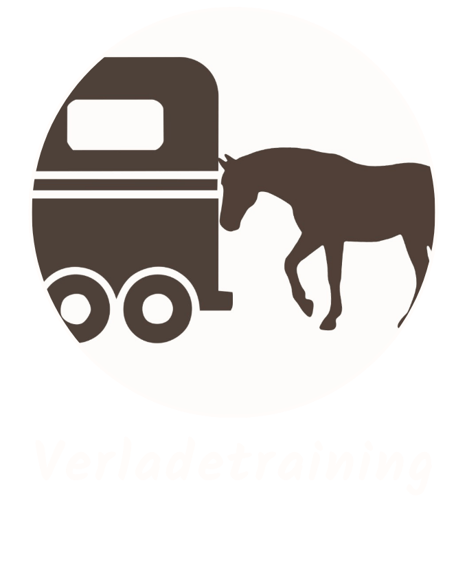 Pferde Ausbildung 5