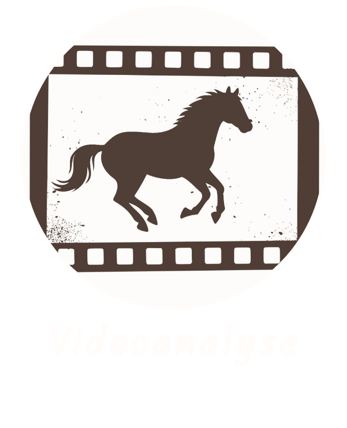 Videoanalyse Pferd