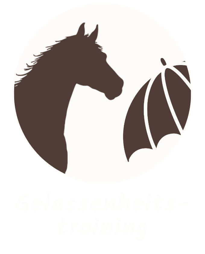 Pferde Ausbildung 8