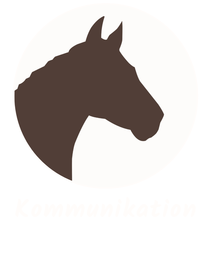 Kommiunikation
