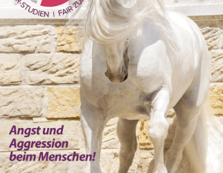 Dressur Studien Fair zum Pferd –  Angst und Aggression beim Menschen!