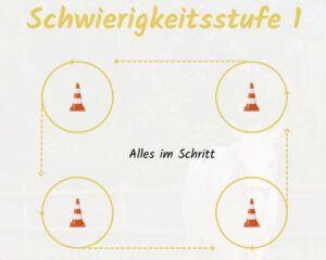 Bodenarbeit mit Pylonen 1