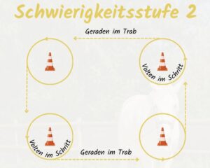 Bodenarbeit mit Pylonen 2