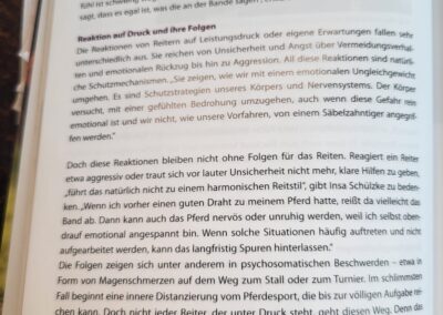 Dressurstudien Angst und Aggression Mensch