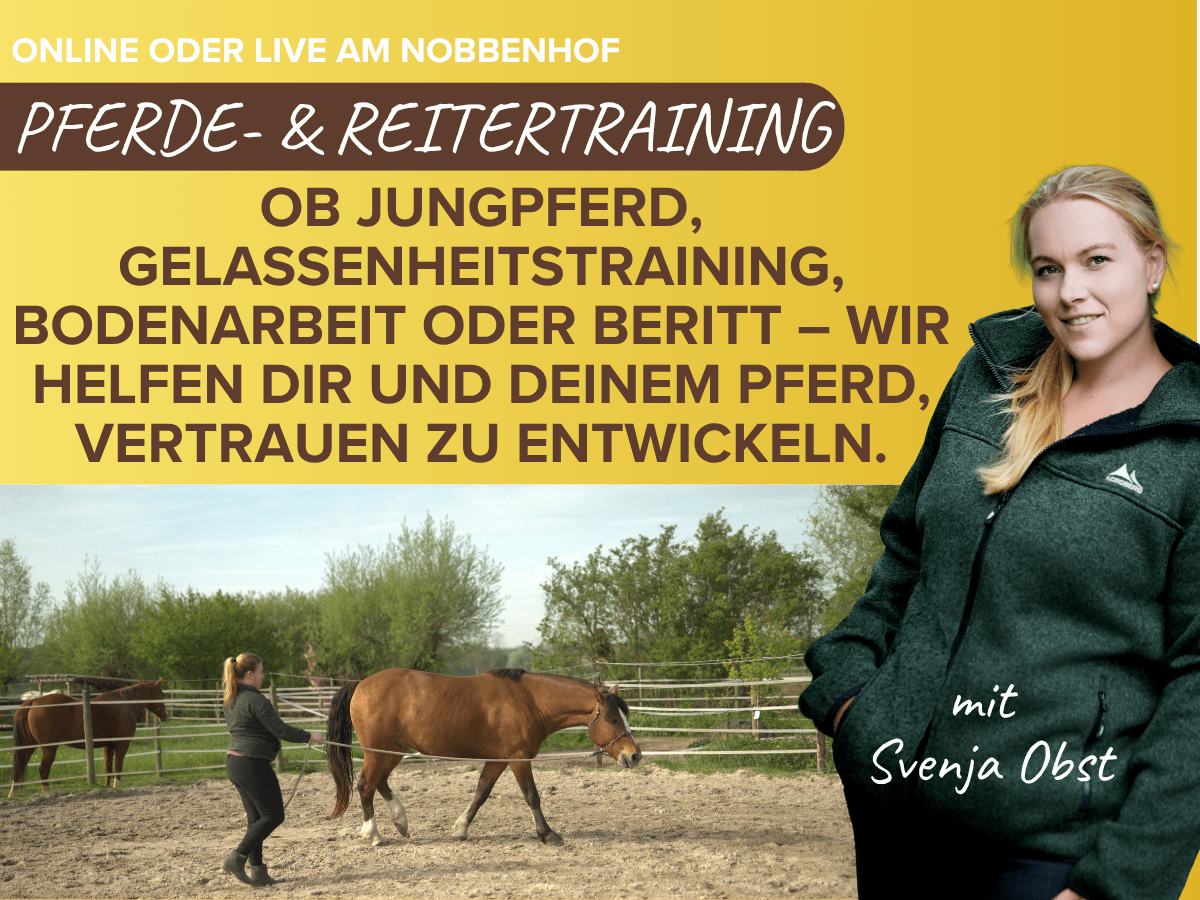 Pferd & Reitercoaching