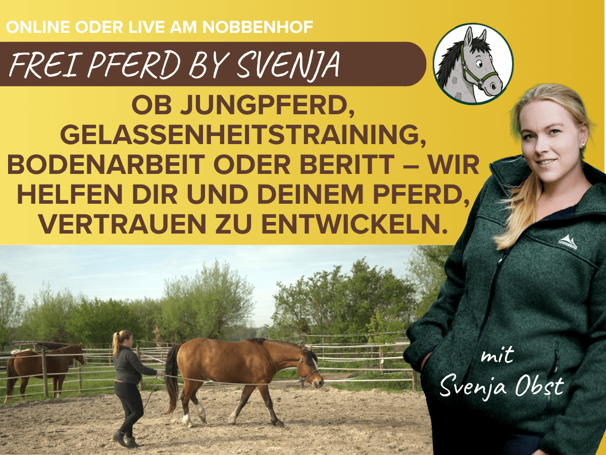 Frei Pferd by Svenja