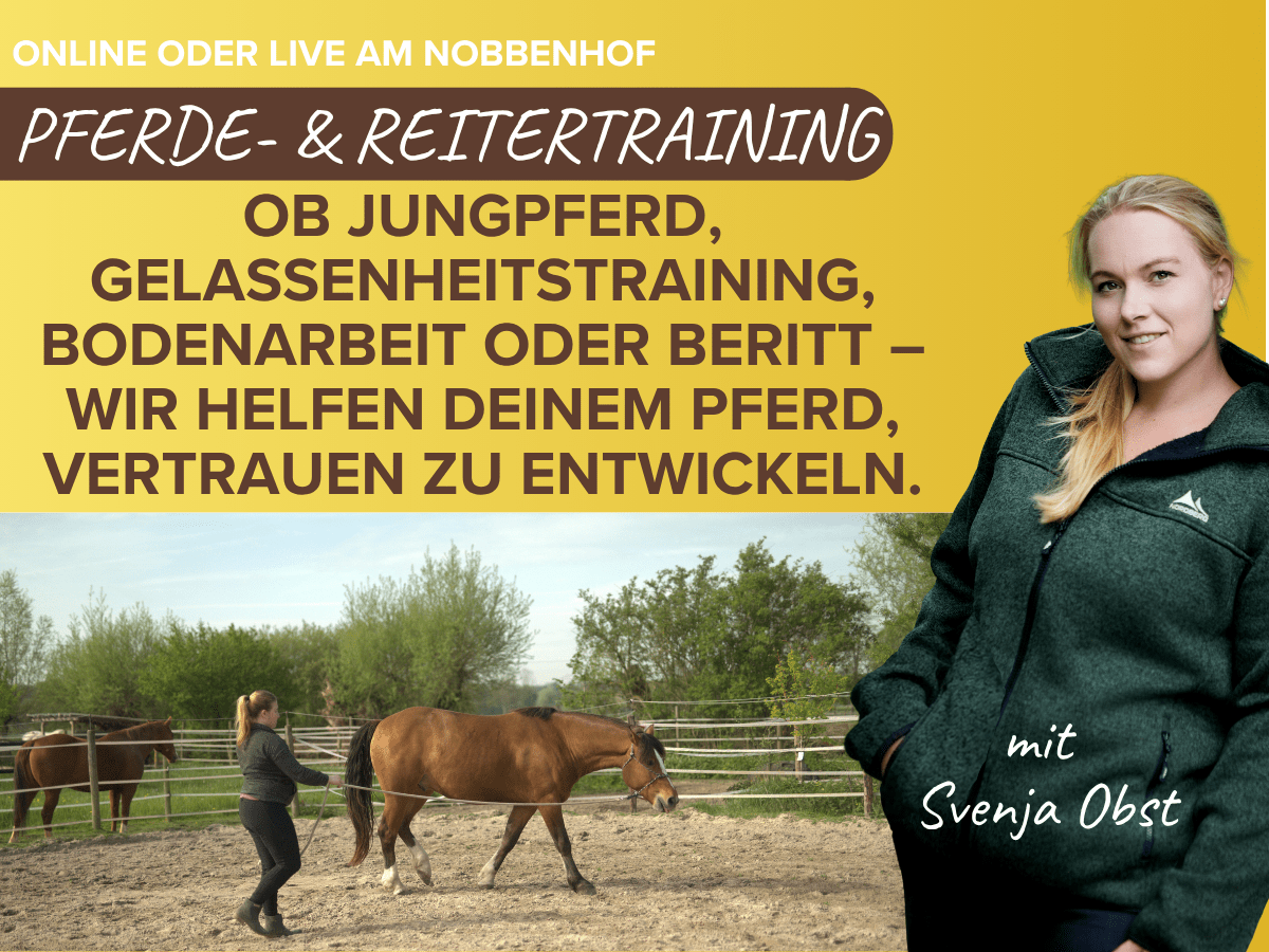 Pferd-und Reitercoaching