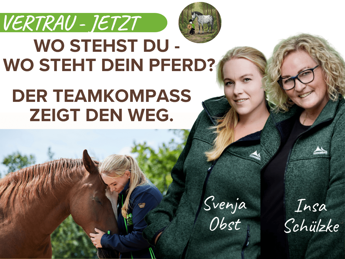 Vertrau Jetzt Teamkompass