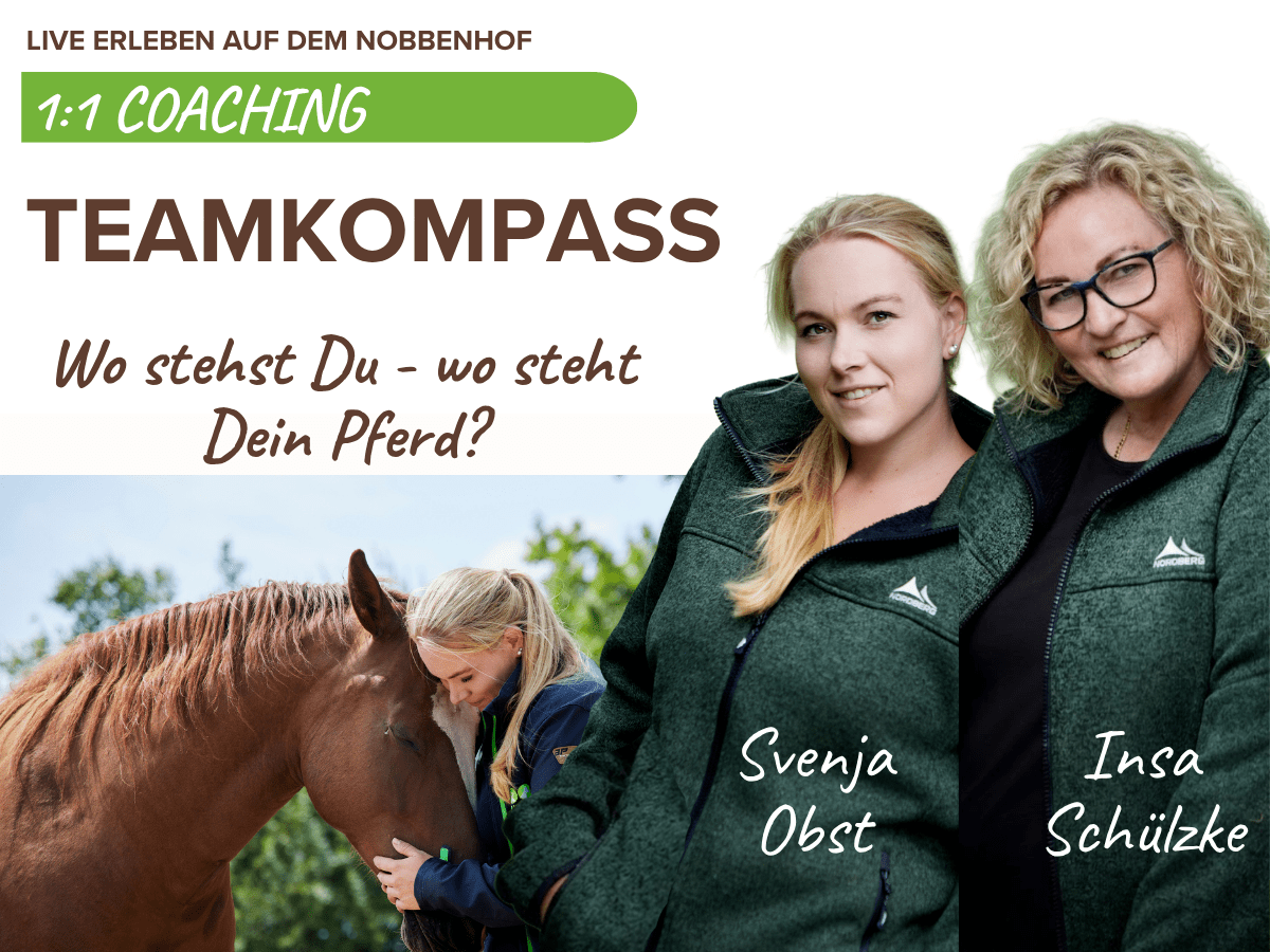 TeamKompass Pferd Mensch