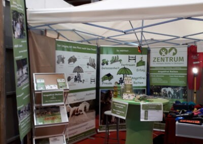 2020 Pferd Bodensee