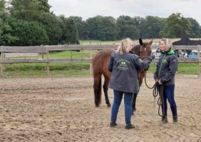 2022: Heartland Western Days ANGSTFREI REITEN