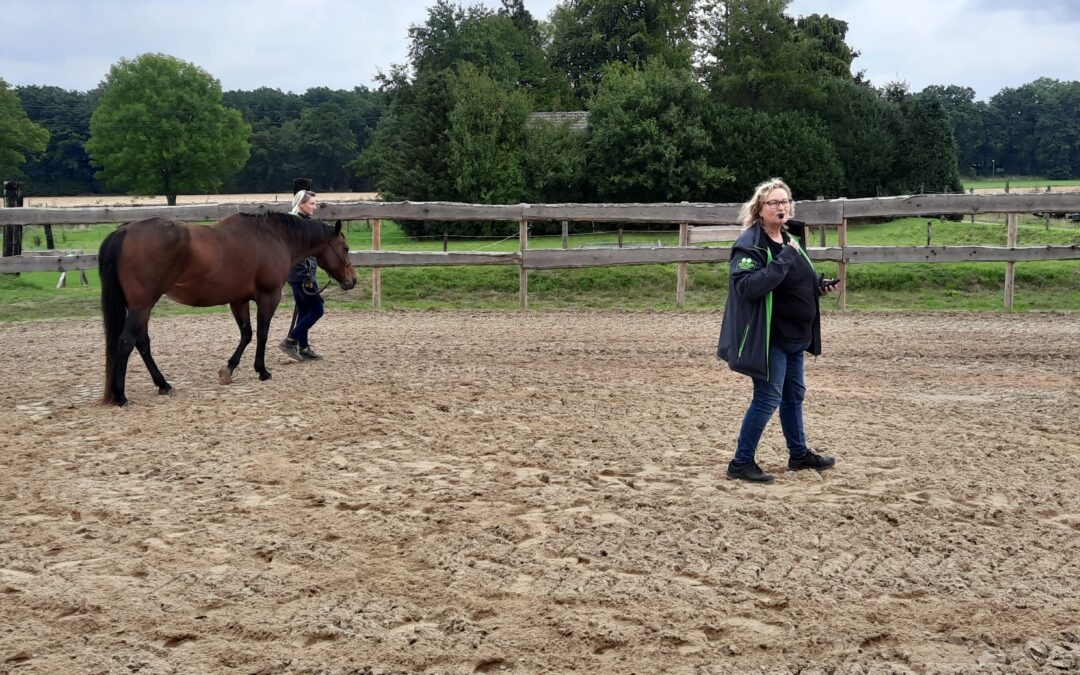 2022: Heartland Western Days ANGSTFREI REITEN – LIVE IM REITRING