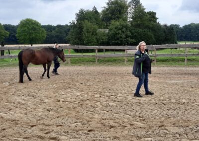2022: Heartland Western Days ANGSTFREI REITEN