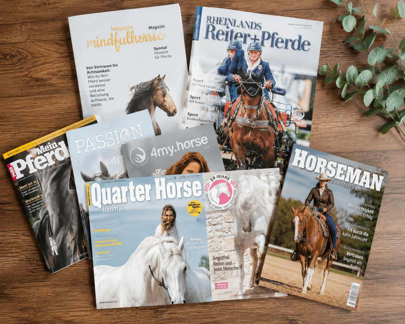 Presse & Fachmedien