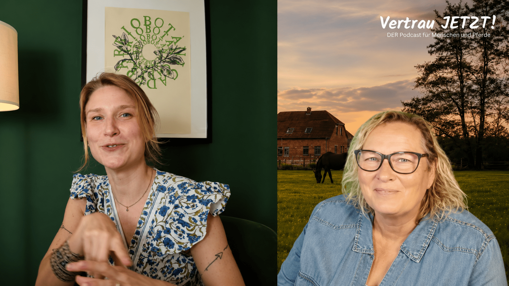 ngo-illustration-Artboard 5 Podcast & Interviews