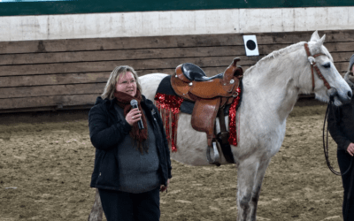 Presse & Veröffentlichungen 3 2017: Goch ANGSTFREI REITEN – LIVE IM REITRING