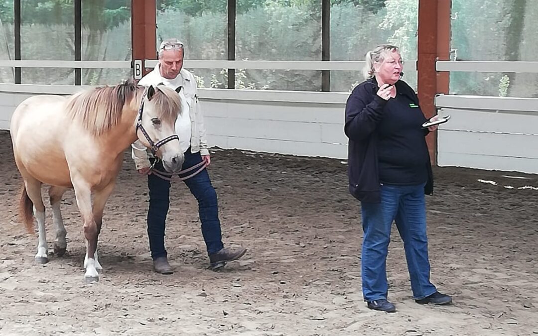 2019: IPG Reken ANGSTFREI REITEN – LIVE IM REITRING
