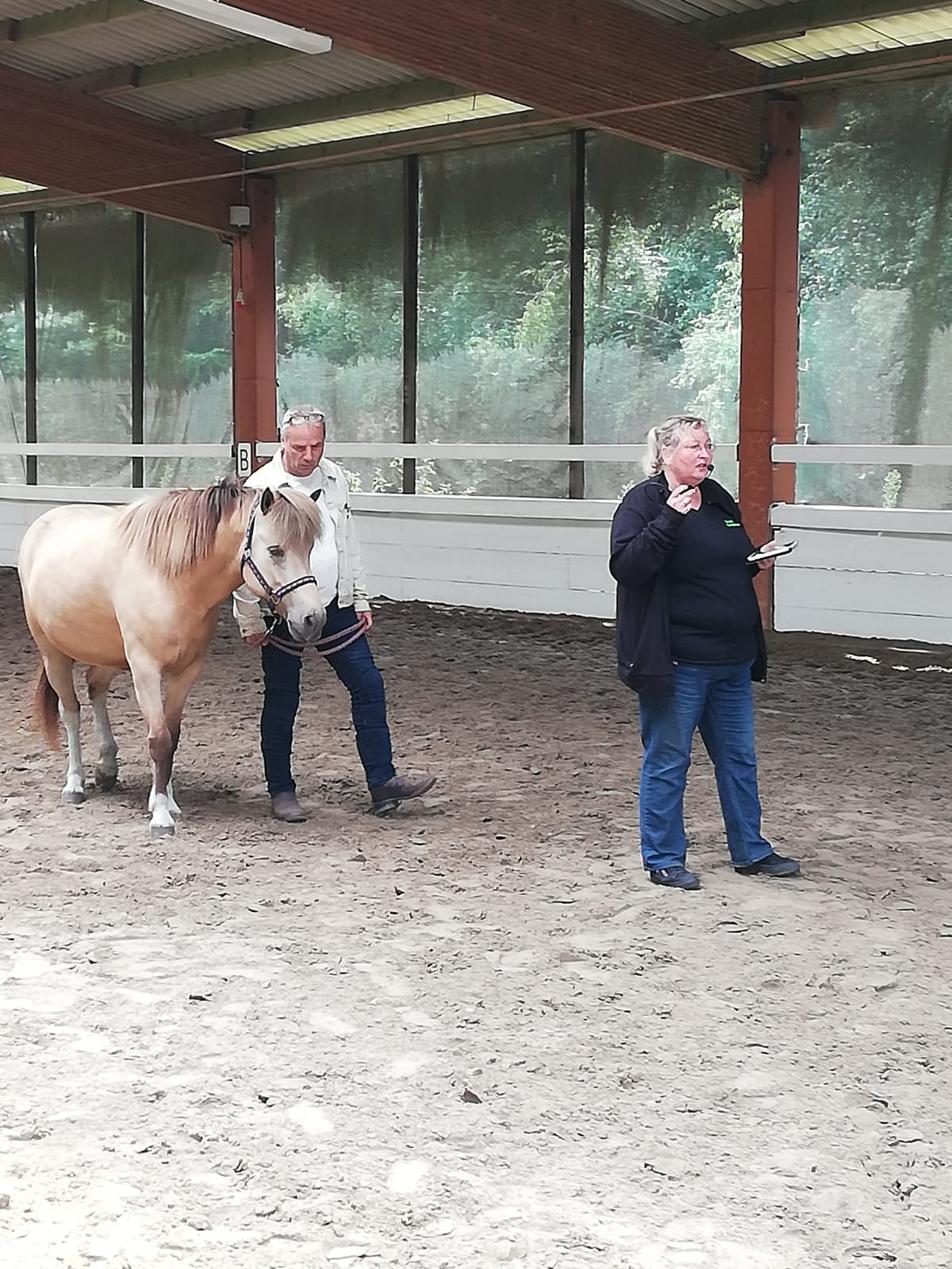 2019 IPG Reken: ANGSTFREI REITEN - LIVE IM RING