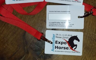 2019: Schweiz Expo Horse