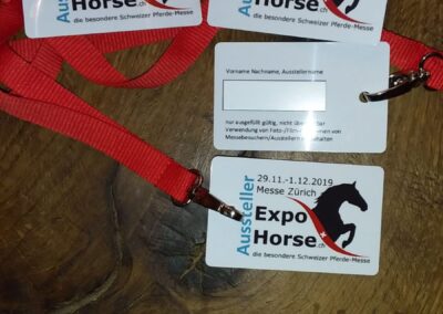 2019 Schweiz: Expo Horse