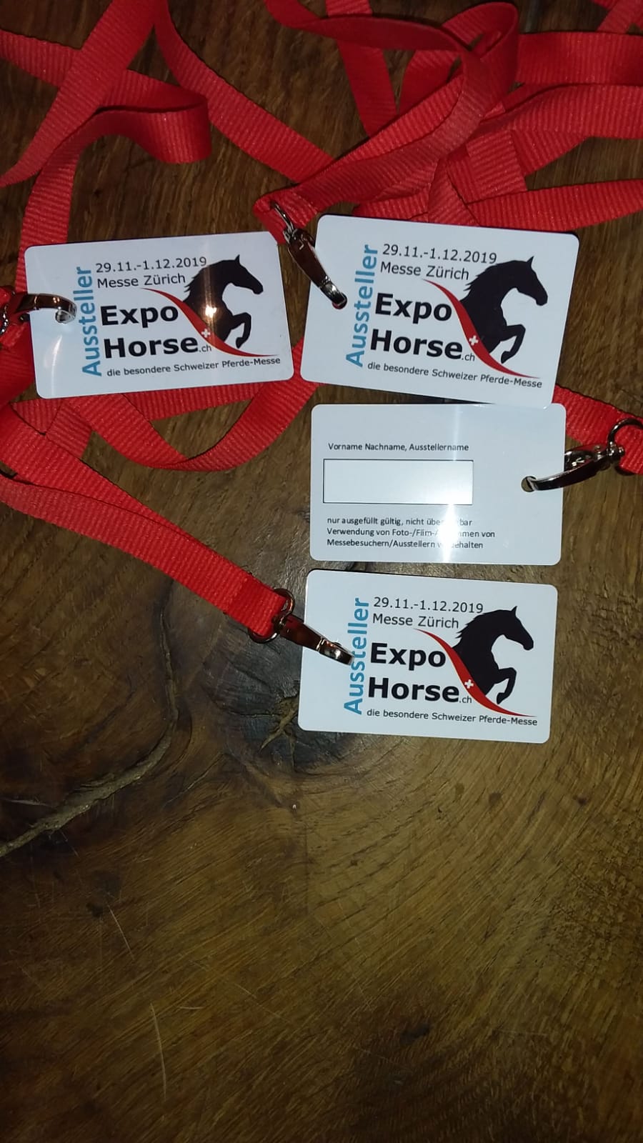 ngo-illustration-Artboard 5 2019 Schweiz: Expo Horse
