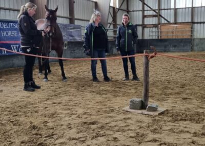 2022: Heartland Western Days ANGSTFREI REITEN