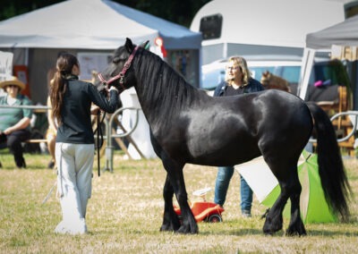 22023: EXTREM TRAIL NRW ANGSTFREI REITEN