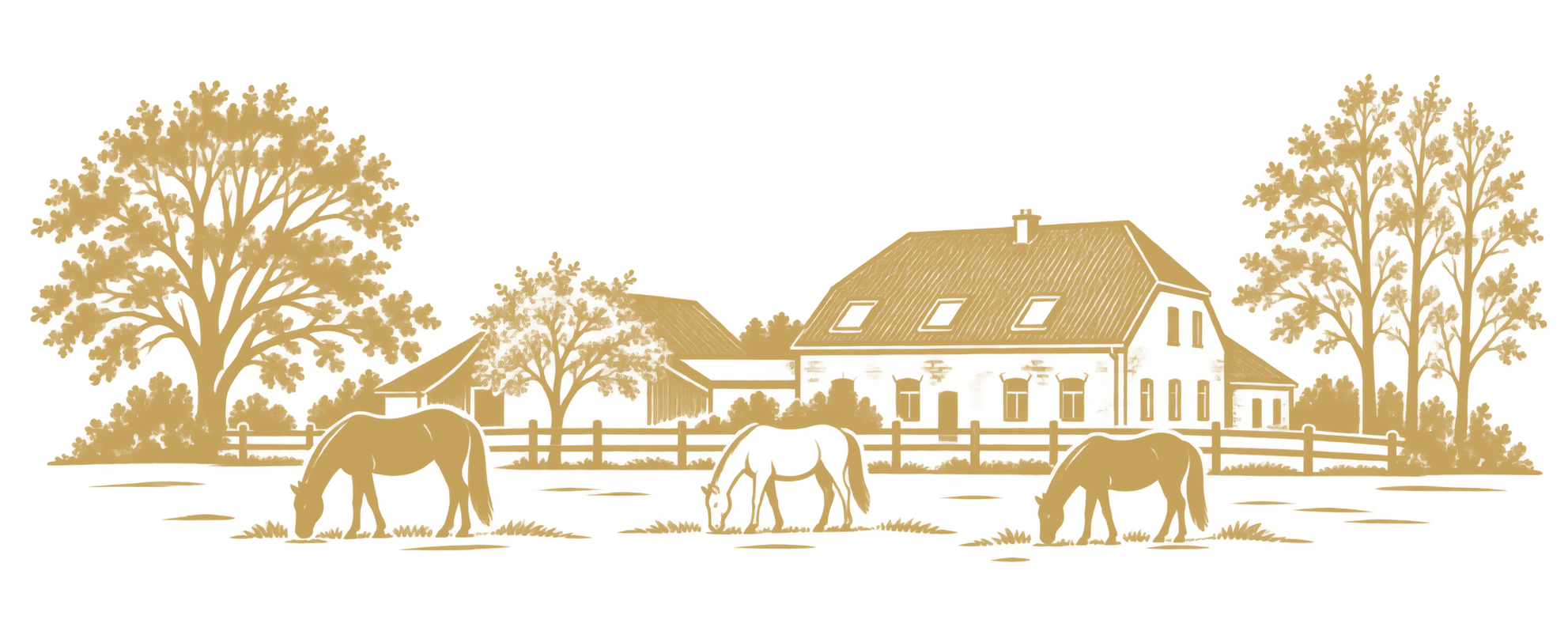 Nobbenhof Header